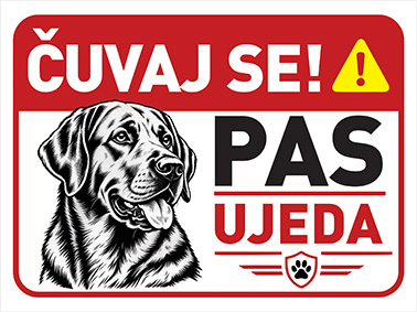 Labrador