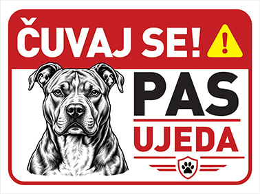 PitBull