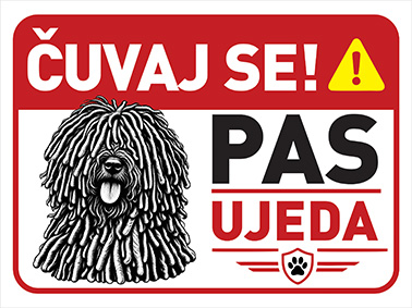 Pulin