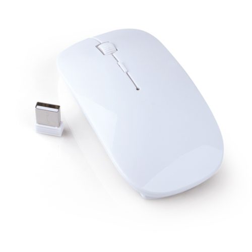 MOUSE