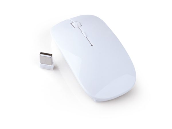 MOUSE